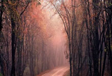 开云体育：13投砍27分6板！首钢王牌锋线再次扮演杀手锏角色，有望冲击NBA？.