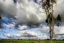 2024北京马拉松：埃塞俄比亚选手海勒夺冠央视体育.