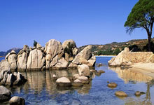 开云体育：2025九江马拉松开跑 2万名中外跑者竞速庐山脚下.